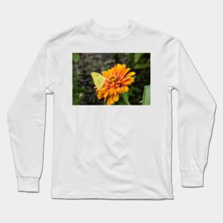 Alfalfa Butterfly on Flowers Long Sleeve T-Shirt